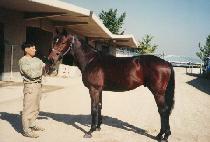 �ϼҸ� (PUKSORI) ����