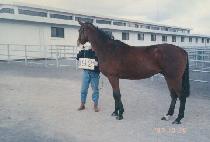 ���� (SEUNGJU) ����