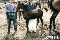 ������ڸ� ����