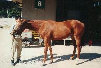 �Ϸ�� (HARUBANG) ����