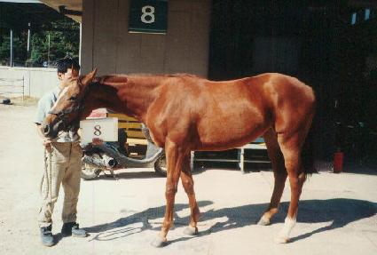 �Ϸ�� ����