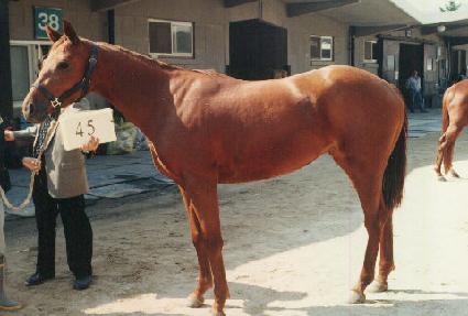 ��ȣ ����