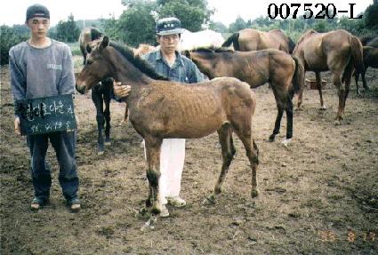 ����� ����