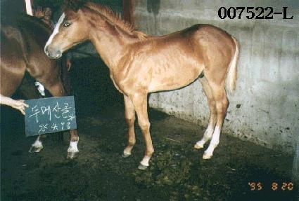 �θ޻���ڸ� ����