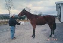 ��ν� (MODUSEUNG) ����