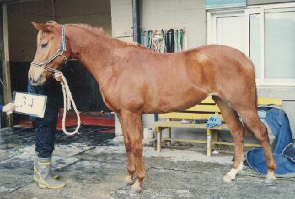 ��� ����