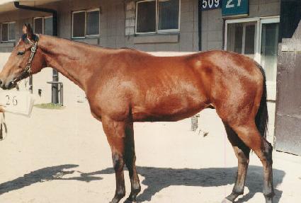 �屺�� ����