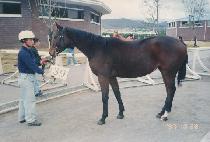 õ�Ͽ��� (CH��EONHA YEONG-UNG) ����