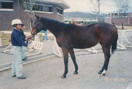 õ�Ͽ��� ����