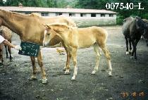 ���츮 (SEURI) ����