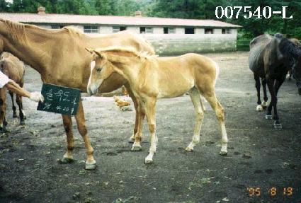 ���츮 ����