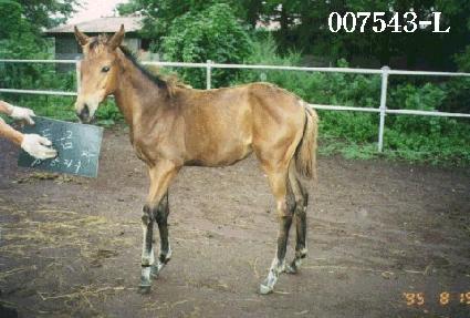 ǳ���ڸ� ����