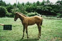 �븲���ڸ� ����