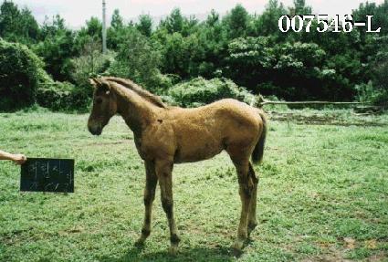 �븲���ڸ� ����