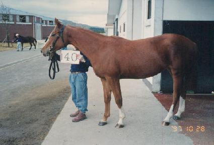 ���Ķ� ����