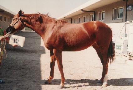 ���� ����