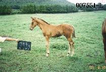 ��� (TAEUN) ����