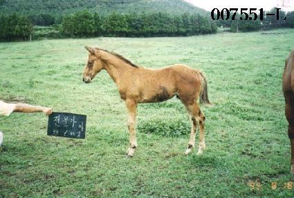 ��� ����