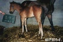 �Ҹ��ڸ� ����