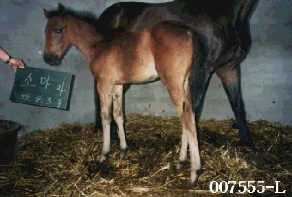 �Ҹ��ڸ� ����