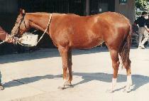 �ݹ� (KEUMBAE) ����