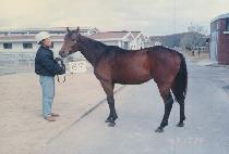 �° (T��AEGOKSEONG) ����