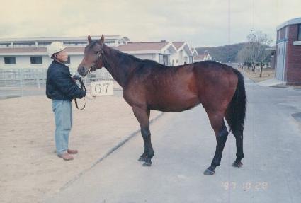 �° ����