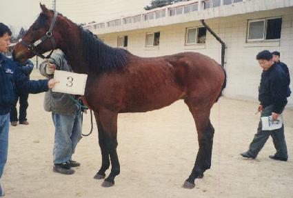 ������ ����