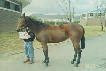 ��ġ�ҽ� (KKACH��ISOSHIK) ����