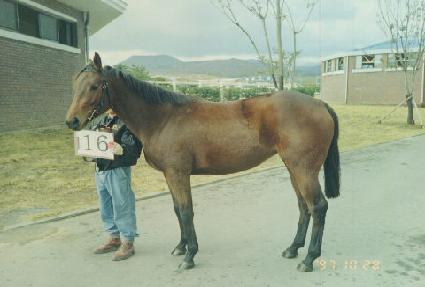 ��ġ�ҽ� ����