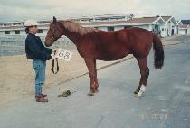 ���� (TONGSEONG) ����