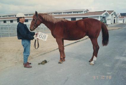 ���� ����