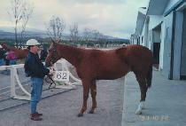 ������ũ (HAPPY PARK) ����