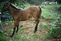 ŷ���ǵ� ����