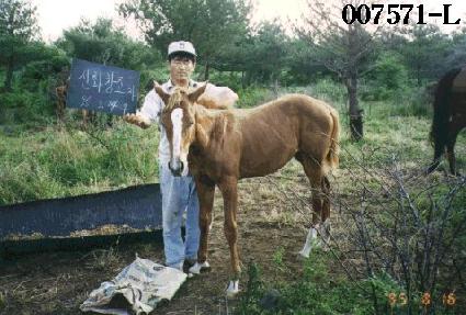 ���� ����