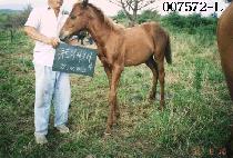 ��ũ ����