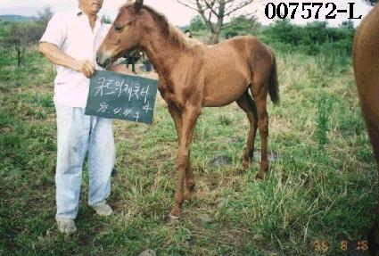 ��ũ ����