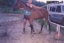 �������� (TONGBANG CHEONSA) ����