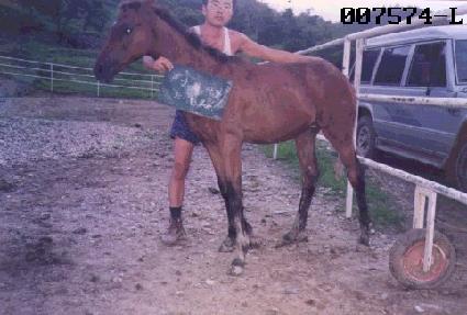 �������� ����