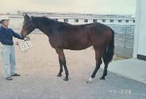 Ž����� (T��AMNA MYEONGMUN) ����