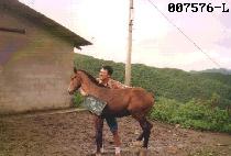 ��õ�ڸ� ����