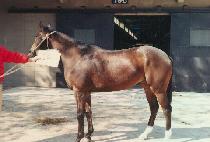 �������̽� (YEONGJONG ACE) ����