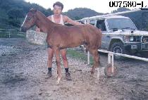 ������ڸ� ����