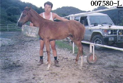 ������ڸ� ����