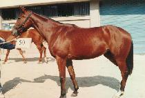 õ�»� (CH��EONT��AESAN) ����