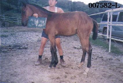 ���൹�ڸ� ����