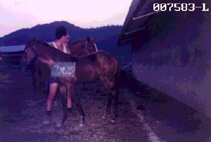 ��޿� ����