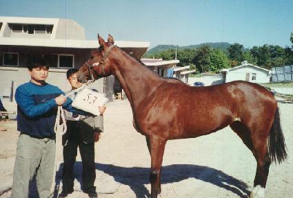 �������� ����