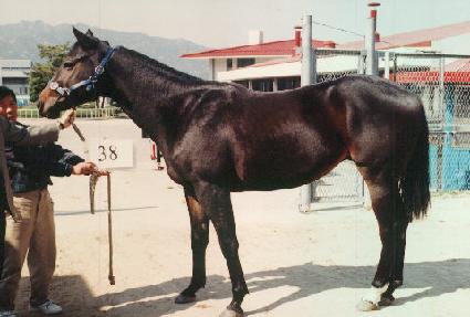 ������� ����