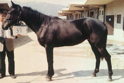 �ѹٶ� ����